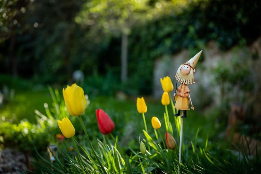 Monica Appartamento Con Giardino Al Ponte Vecchio フィレンツェ エクステリア 写真